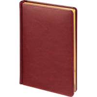 Ежедневник датированный 2026 А5+ SIDNEY NEBRASKA борд, золот обрез 3-125/01