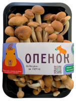 Грибы опята Есть Грибы, 200г