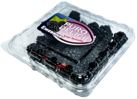 Ежевика Puro Delicio 125г