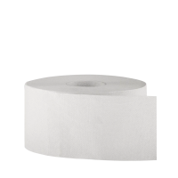 Туалетная бумага Merida TB2101 в рулоне, Эконом Мини, 1 слой, 200м, отбеленная, 12шт/уп