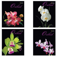Тетрадь общая Brauberg Эко Орхидеи, А5, 48 листов, в клетку, на скрепке, мелованный картон