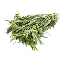 Эстрагон, 50г