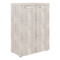 Шкаф средний Skyland Torr-Z TMC 85.1, дуб каньон, 854х452х1203мм, со средними дверьми, с топом