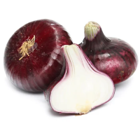 Лук Ялтинский