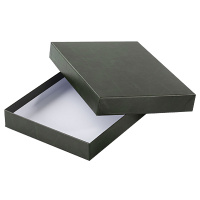 Подарочная коробка для ежедневника Brunnen Универсал зелёная, 15, 8х21, 5см
