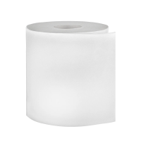 Бумажные полотенца Merida BP3401 в рулоне с центр. вытяжкой, Топ Макси, 2 слоя, белые, 160м, 6шт/уп