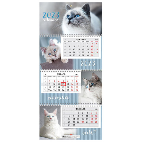 Календарь квартальный Hatber Экстра Кошачьи глазки, 3 блока, 3 гребня, с  бегунком, 2023 купить в интернет-магазине, цена 168 руб.