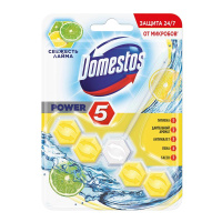 Освежитель для унитаза Domestos Power 5 Лайм, 55г, подвесной блок