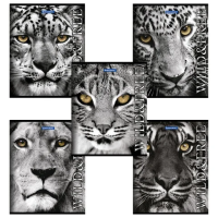 Тетрадь Brauberg Эко Дикие и свободные, А5, 48 листов, в клетку, на скрепке, мелованный картон