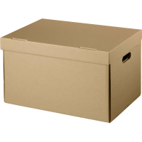 Короб архивный Делопроизводство 480x325x295мм T25B бурый