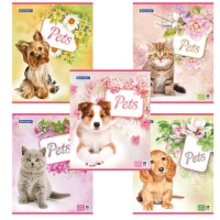 Тетрадь Brauberg Эко Любимчики, А5, 48 листов, в клетку, на скрепке, мелованный картон