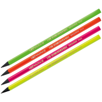 Карандаш чернографитный Bic Evolution Fluo HB, ассорти