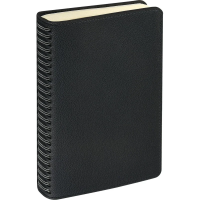 Ежедневник недатированный А5 ALBA черный, 136л 3-783/01