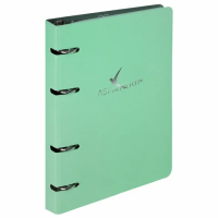 Тетрадь на кольцах А5 160х212 мм, 120 листов, картон, фольга, клетка, BRAUBERG, 'Pastel', 404734