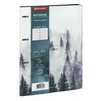 Тетрадь на кольцах БОЛЬШАЯ А4 (240х310 мм), 120 л., под кожу, BRAUBERG VISTA, 'Туман', 404515