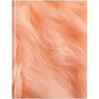 Бизнес-блокнот А5, 80л., BG 'Peach Fuzz', soft-touch ламинация, тиснение фольгой