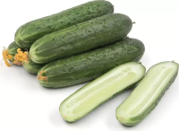 Огурцы Атлет среднеплодные, 600г
