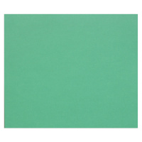 Цветная бумага Clairefontaine Tulipe темно-зеленый, 500х650мм, 25 листов, 160г/м2, легкое зерно