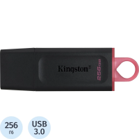 Флеш-диск 256GB KINGSTON DataTraveler Exodia, разъем USB 3.2, черный/розовый, DTX/256GB