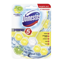 Освежитель для унитаза Domestos Power 5 Лайм, 55г, подвесной блок