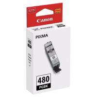 Картридж струйный CANON (PGI-480PGBK), для PIXMA TS704/TS6140, пигмент черный, ресурс 200 страниц, 2