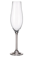 Бокал для шампанского Crystal Bohemia Vireo, 200мл