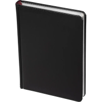 Ежедневник недатированный А5 Sidney NEBRASKA черн,серебр.срез,136л 3-128/16