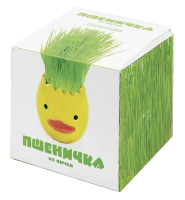Набор Домашняя кухня пшеничка из яичка, 90г