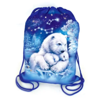 Подарочный набор ТД Аврора №67 Рюкзак Большая и малая медведица, 735г