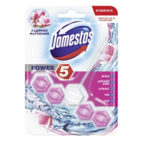 Освежитель для унитаза Domestos Power 5 Ледяная магнолия, 55г, подвесной блок