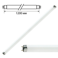 Лампа люминесцентная Philips TL-D 36W/33-640 36Вт, G13, 4100К, холодный белый свет, трубка