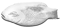 Блюдо Pasabahce Marine Рыба, 35 x 25см