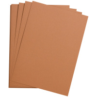 Цветная бумага Clairefontaine Etival color лососевый, 500х650мм, 24 листа, 160г/м2, легкое зерно