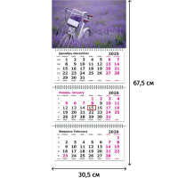Календарь настенный 3-х блочный 2026 Attache, Велосипед в поле, 305х675,80г