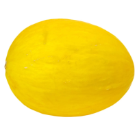 Дыня Медовая