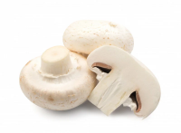 Грибы шампиньоны