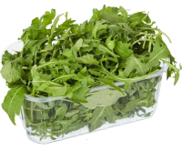 Салат рукола+корн, 125г