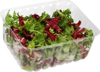 Салат Рукола и радичио, 125г