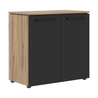 Шкаф с глухими малыми дверьми MLC 85.1 Антрацит/Дуб Денвер светлый 854х423х821 MORRIS TREND