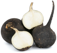 Редька черная