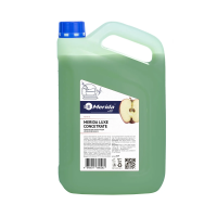 Моющий концентрат для посуды Merida Люкс 5л, В4Р