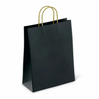 Крафт-пакет бумажный 'Black' 26х15х35 см, с кручеными ручками, плотность 80 г/м2, моноцвет, 112429
