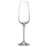 Набор бокалов для шампанского Crystal Bohemia Ancer alize, 290мл х 6шт