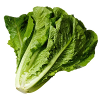 Салат Романо, 700г