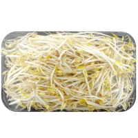 Микрозелень фасоли Маш Доу-я, 250г