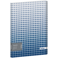 Папка с 20 вкладышами Berlingo 'Squares', 17мм, 600мкм, с внутр. карманом, с синим рисунком