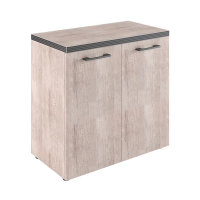 Шкаф низкий Skyland Torr TLC 85.1, дуб каньон, 854х452х833мм, с малыми дверьми, с топом