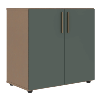 Шкаф низкий широкий VLCS 80.1 Нефрит/Кобра 800х430х781 VELION