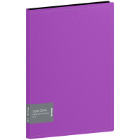 Папка с 40 вкладышами Berlingo 'Color Zone', 21мм, 1000мкм, фиолетовая