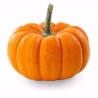 Тыква мускатная